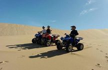 Camel riding including Couscous lunch and Quad biking