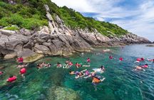 Cham Island Day Tour from Hoi An with Group tour