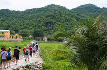 Cham Island Day Tour from Hoi An with Group tour