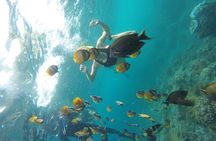 Nusa Penida Snorkling Package