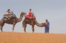 Visite Agadir Medina with camel or Hors riding 