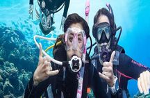 Kusadasi Scuba Diving