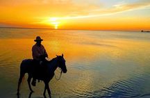 Horseback Riding on the Beaches of Holbox