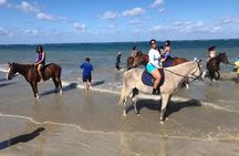 Green Grotto Caves and Horseback riding Combo from Ocho Rios