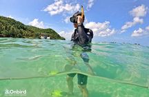 [Phu Quoc] Private Speedboat & Short-Snorkel: South Hidden Reefs