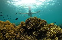 [Phu Quoc] Private Speedboat & Short-Snorkel: South Hidden Reefs
