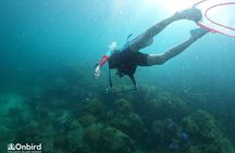 [GROUP] SCUBA DIVING for Certified Divers in Phu Quoc Island
