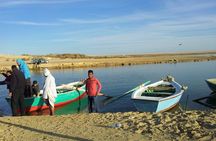 El-Fayoum Oasis & Wadi Al-Rayan Day Tour from Cairo