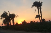 El-Fayoum Oasis & Wadi Al-Rayan Day Tour from Cairo
