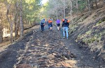 Half day Trekking Tour on Etna
