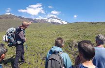 Half day Trekking Tour on Etna