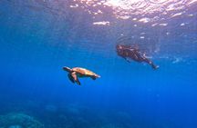 Daymaniyat Islands Snorkeling Sharing Trip 