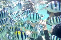 Fishing Trip Pick Up From Kuta Lombok