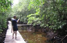Private Stone Town & Spice Farm Tour