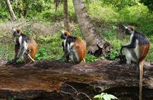 Private Stone Town & Spice Farm Tour