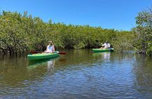 2 Hour Tandem Kayak Tour (Price for 2 People)