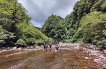 Trails, Flights and Tours in the South Canyons - Aparados da Serra