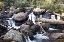 Women's Hike to Ouzel Falls in Rocky Mountain National Park