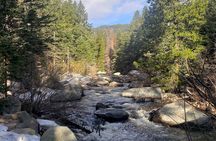 Women's Hike to Ouzel Falls in Rocky Mountain National Park