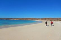Cape Range National Park Full-Day Trekking Adventure