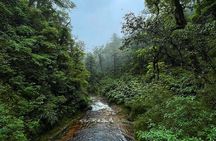 Visit Love Waterfall & Luscious Nature trek with fantastic views