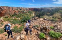 Cape Range National Park Full-Day Trekking Adventure