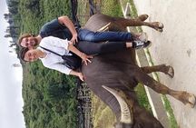 Sapa private: One day of funny Buffalo Ride & Trekking Tour