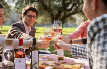 2-Hour Picnic among the Olive Trees with Typical Abruzzese Products