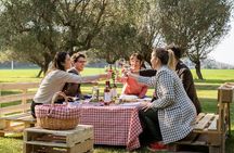 2-Hour Picnic among the Olive Trees with Typical Abruzzese Products