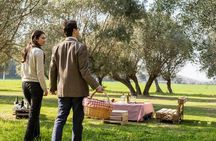 2-Hour Picnic among the Olive Trees with Typical Abruzzese Products
