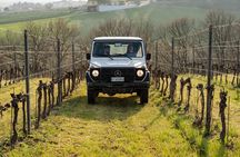 3-Hours of Activities with Safari Grand Tour and Tasting in Vineyards