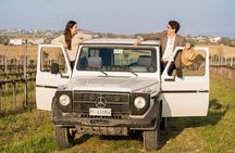 3-Hours of Activities with Safari Grand Tour and Tasting in Vineyards