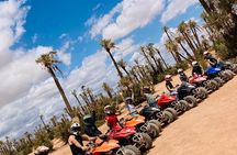 Camel and Quad Bike Desert Experience in Agafay Morocco 