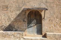 Tour to olive grove and olive mill, oil tasting and snack