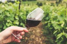 Wineries Tour Sao Paulo