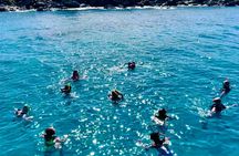 Half Day Luxury Catamaran Turtle Snorkel And Beach