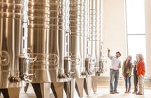 Cafayate Wine Trail Excursion: Explore Salta's Vineyards