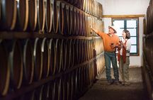 Cafayate Wine Trail Excursion: Explore Salta's Vineyards