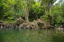 Full-Day El Yunque Rainforest Hike with Waterslide from San Juan