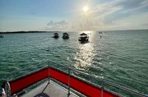 Private Sunset/Dolphin Cruise from Destin Harbor (Up to 6 people)