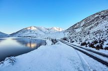 TranzAlpine Train, Arthur's Pass and Castle Hill Day Trip