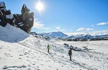 TranzAlpine Train, Arthur's Pass and Castle Hill Day Trip