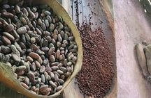 Bribri Magic Chocolate and Waterfall Experience