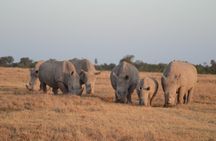 3 Day Amboseli Tsavo East National Park Safari