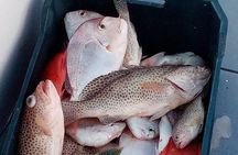 PRIVATE FISHING TRIP : Fishing Trip Hurghada be private boat