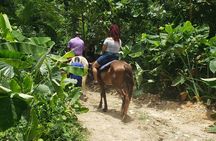 Horseback 'Ride N Swim' & Dunns River Falls from Montego Bay