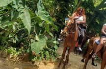 Horseback 'Ride N Swim' & Dunns River Falls from Montego Bay