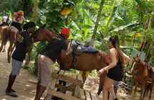 Horseback 'Ride N Swim' & Dunns River Falls from Montego Bay
