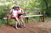 Small-Group Adventure Trek in Grand Etang National Park