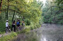 The Milan you don't expect, bike tour with picnic on the lake